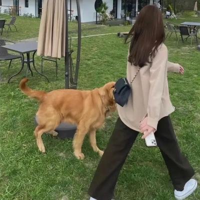 舞伎家的料理人